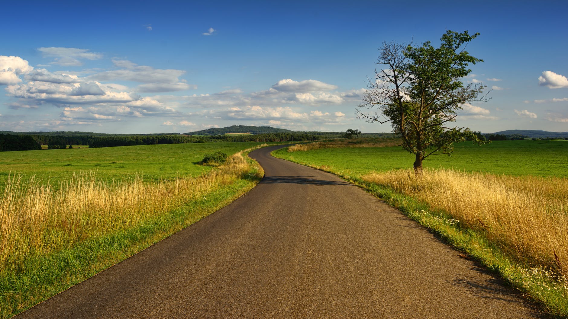 what to do if your car breaks down